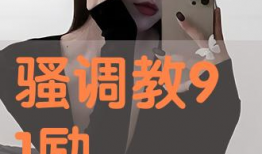 91调教视频,揭秘技巧与魅力