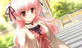 日本漫画少女大全,日本少女漫画全览